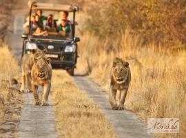 Güney Afrika Safari Rotası Turu