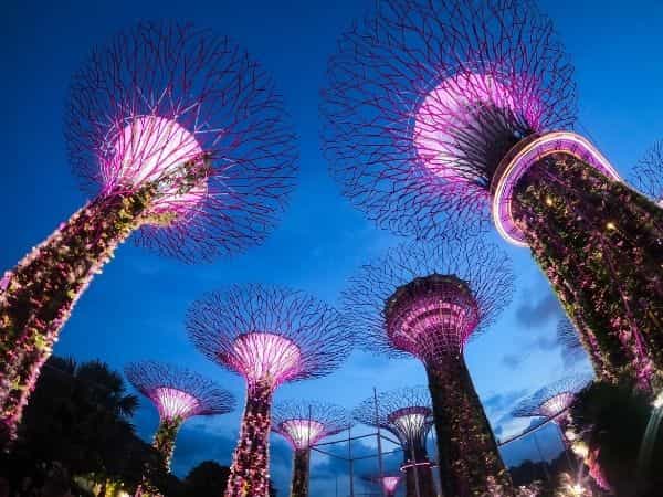 Bangkok - Phuket - Singapur Turu