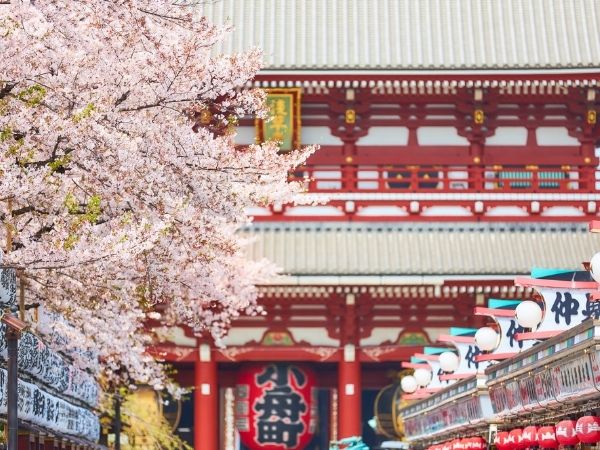 Sakura Zarafeti Japonya ve Güney Kore Turu (Tüm Turlar Dahil)